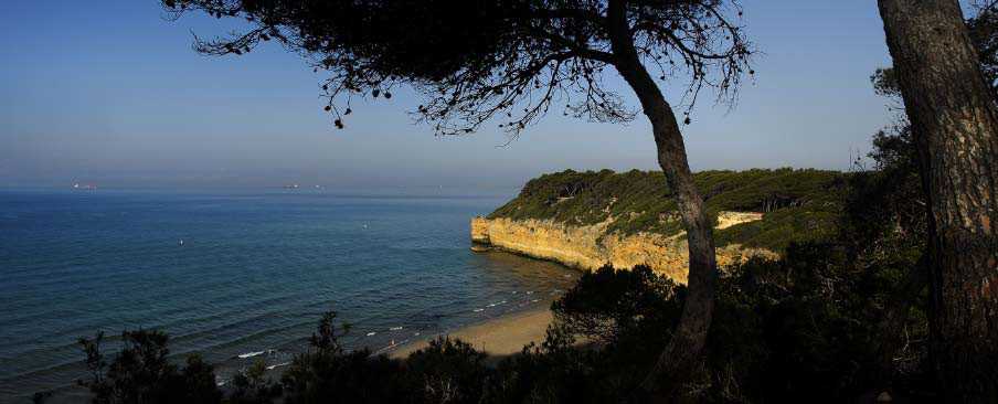 PLAYAS DEL BOSQUE DE LA MARQUESA