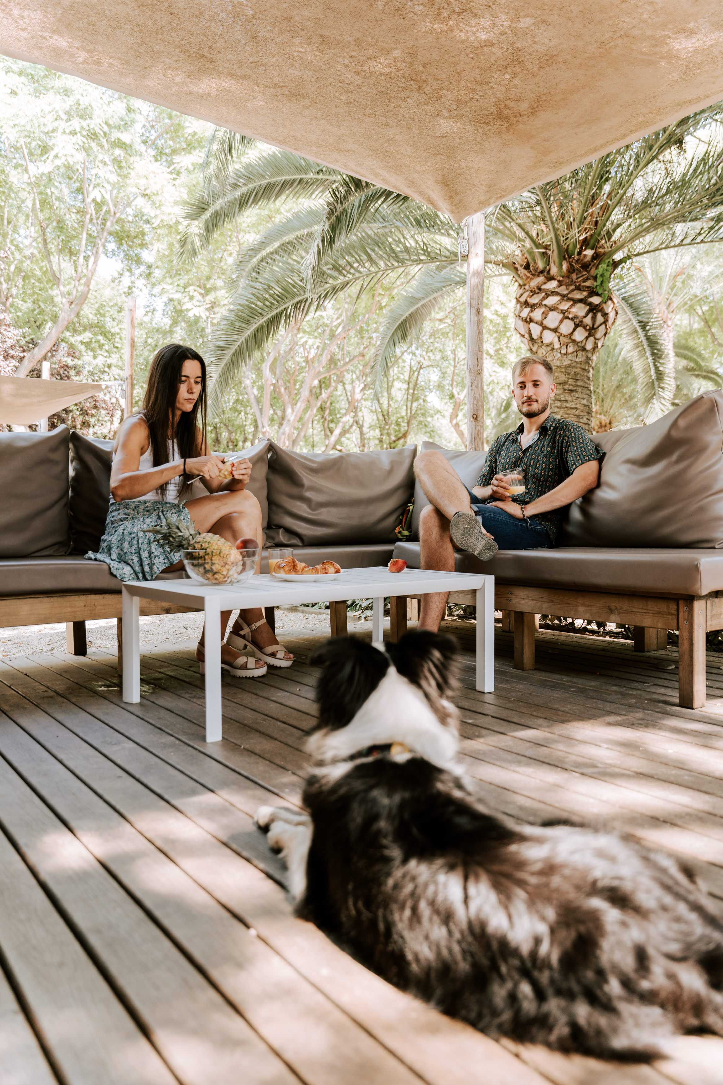 Camping Pet Friendly: Een toevluchtsoord voor avonturen in de bui