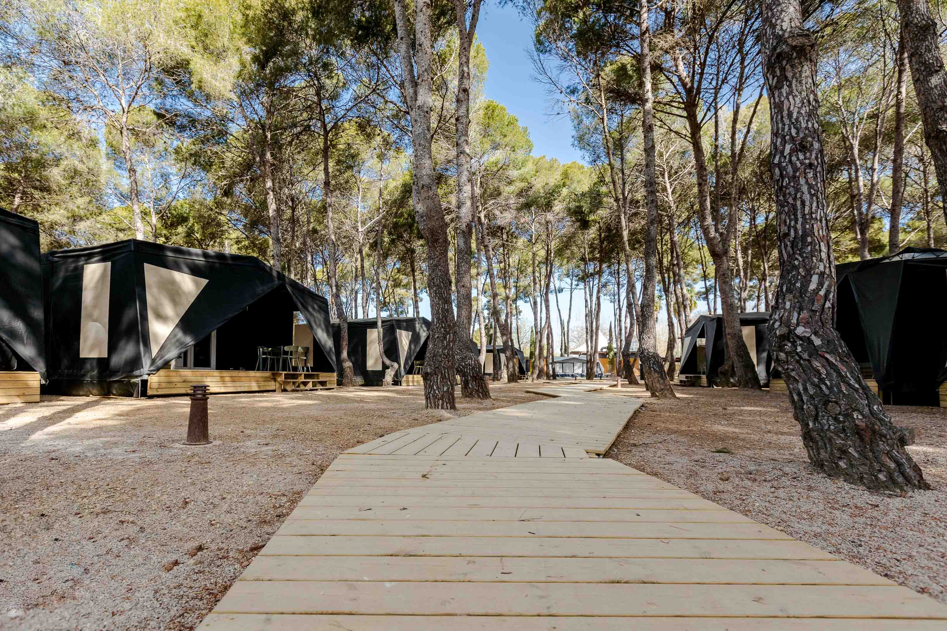 Yuca and Iris, our two new accommodations!