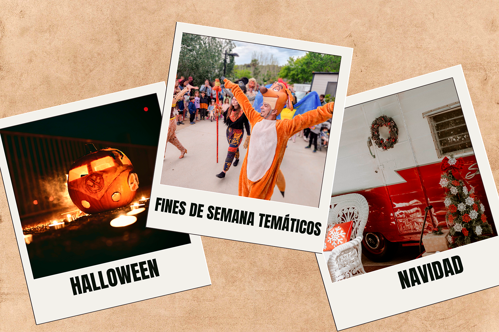 ¡Celebra Halloween y Navidad con nosotros!